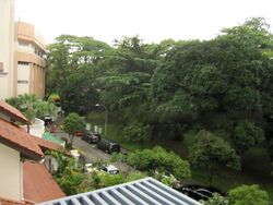 Newton Edge (D9), Apartment #477540741